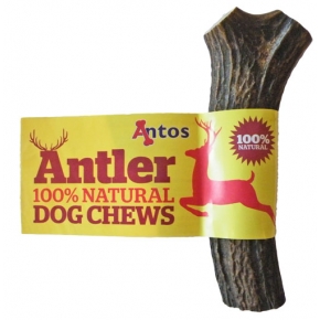 Antos Scottish Antler Medium 